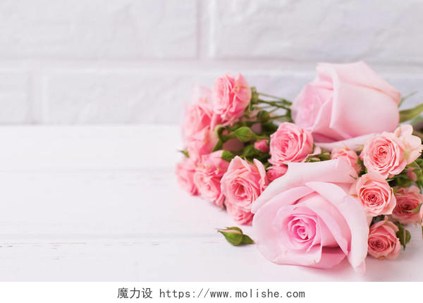 嫩粉红色玫瑰花在白色木质背景